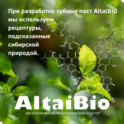 Altai Bio Pastă de dinți pentru îngrijire zilnică cătină și propolis 75ml