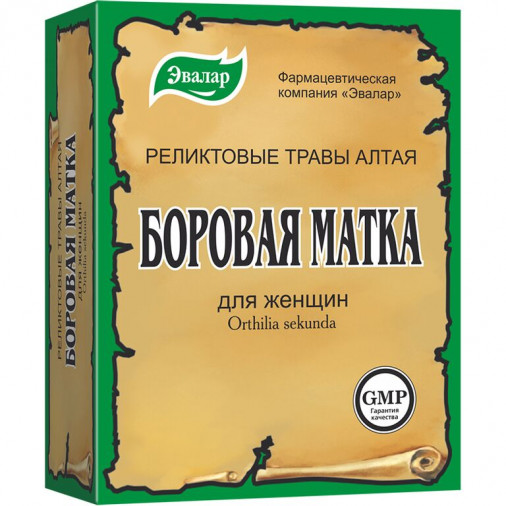Borovaya matka