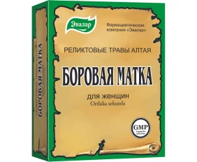 Боровая матка чай