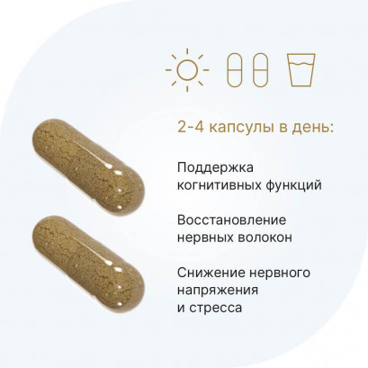 Coama leului 60 capsule