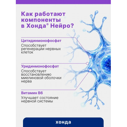Хонда Нейро