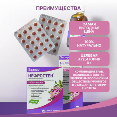 Нефростен