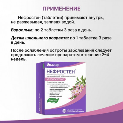 Нефростен