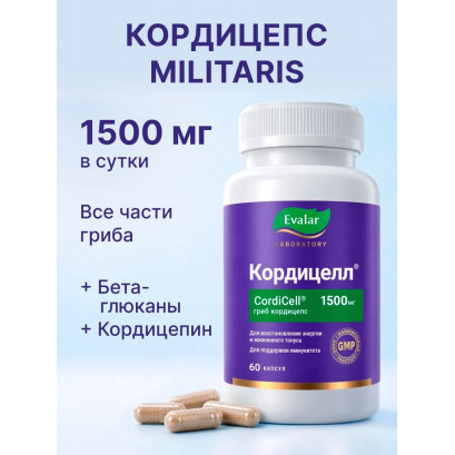 Кордицепс