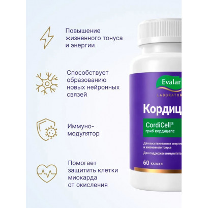 Кордицепс