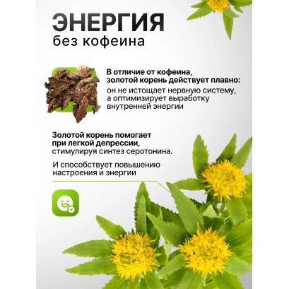 Золотой корень-М таблетки N50 Фармгрупп
