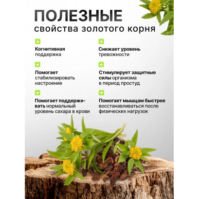 Золотой корень-М таблетки N50 Фармгрупп
