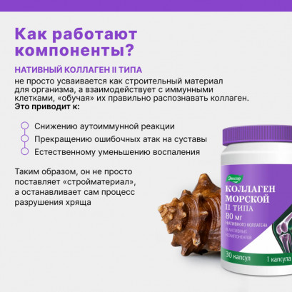 Коллаген морской II типа 30 капсул