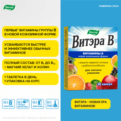 Витэра B